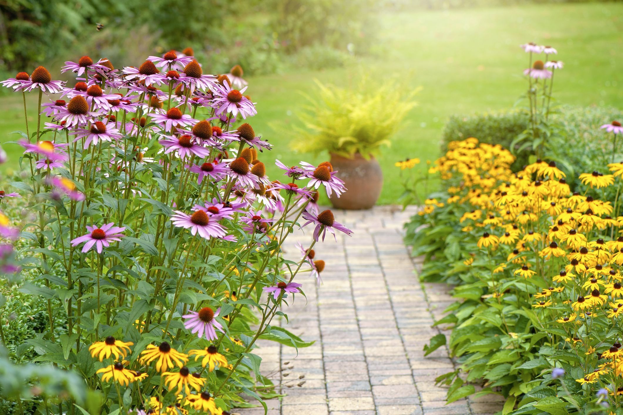 5 Ways to Protect Your Evergreens From Winter | Land Design Associates