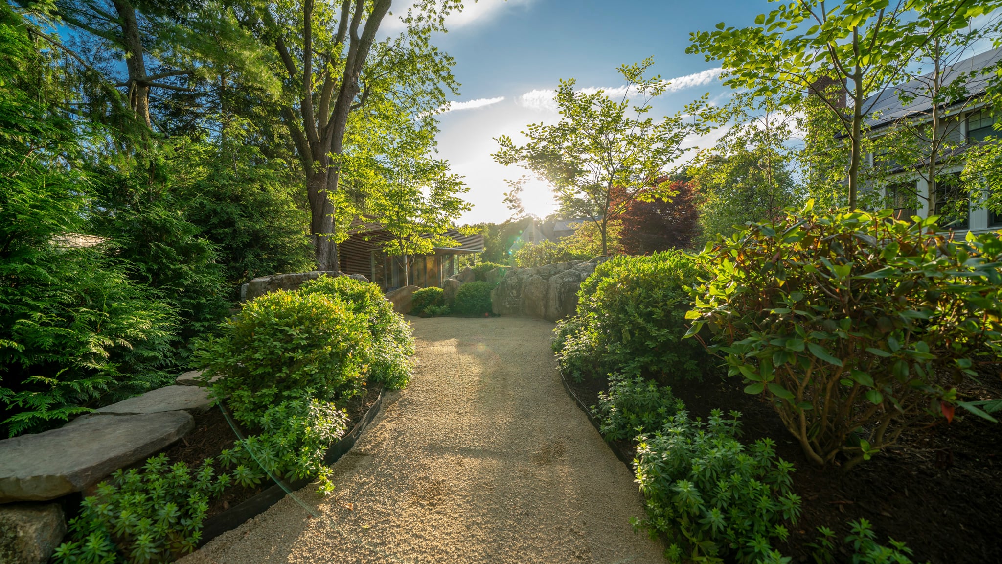 Plants, pea stone, walkway, planting, lush, greenery, garden design, Newton, MA, Sunset