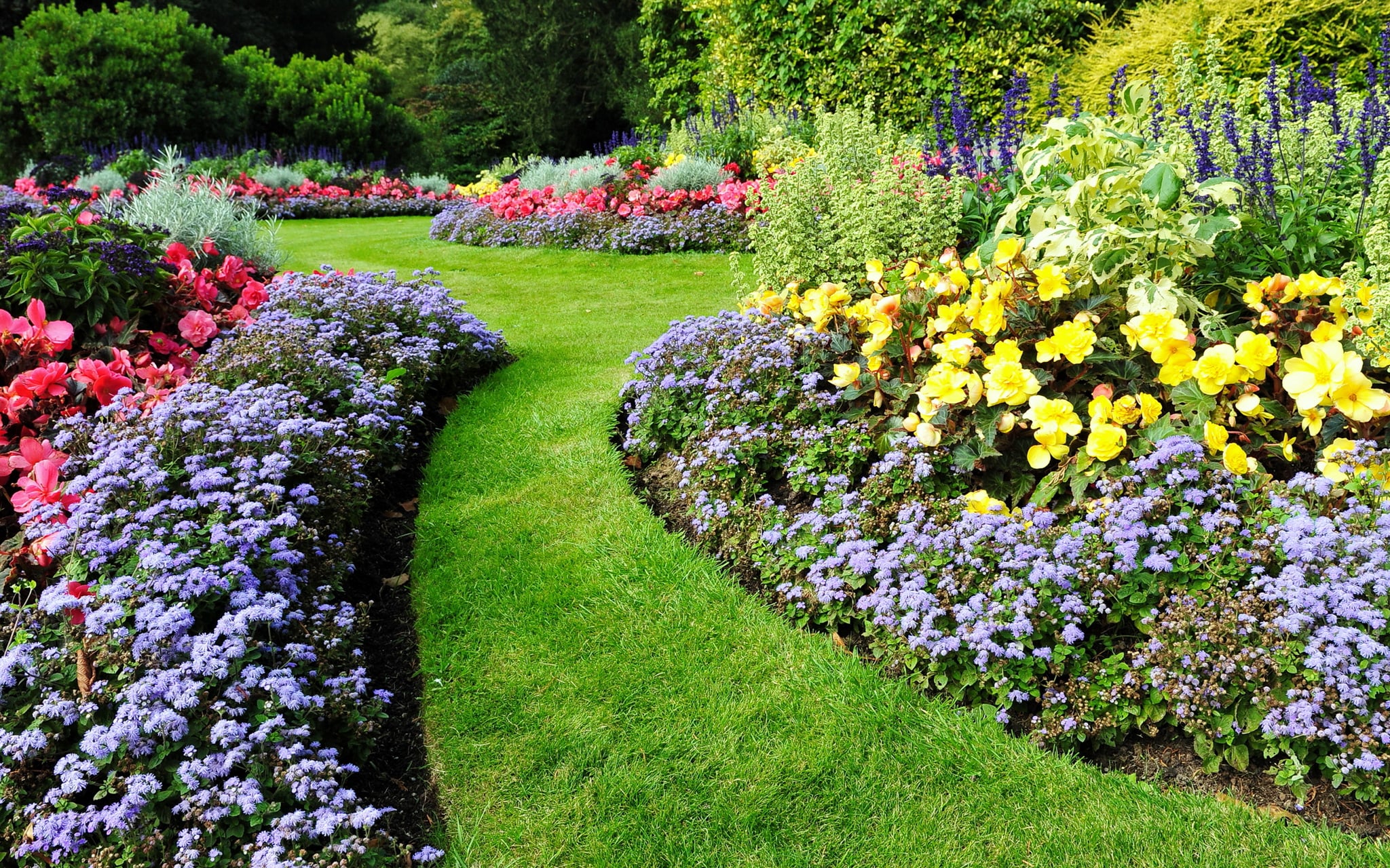 Vibrant garden pathway bordered by colorful flower beds with red, yellow, purple, and green plantings.