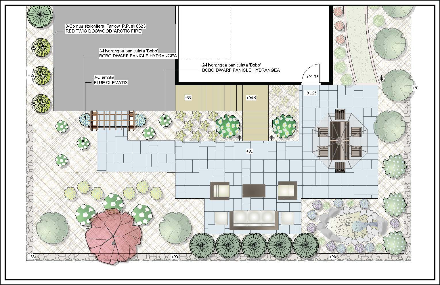 Driveway Privacy Landscaping | Needham MA | Land Design