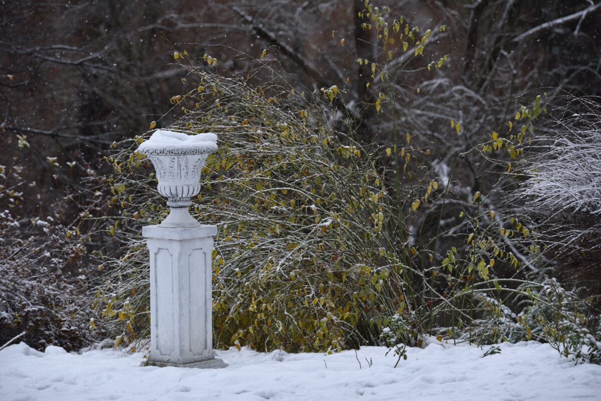 Winter landscape design with evergreens in Medfield Massachusetts by Land Design Associates
