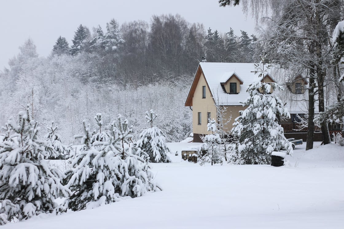 Beautiful home in Duxbury Massachusetts with snow covered landscape and evergreen trees showing natural winter plant protection