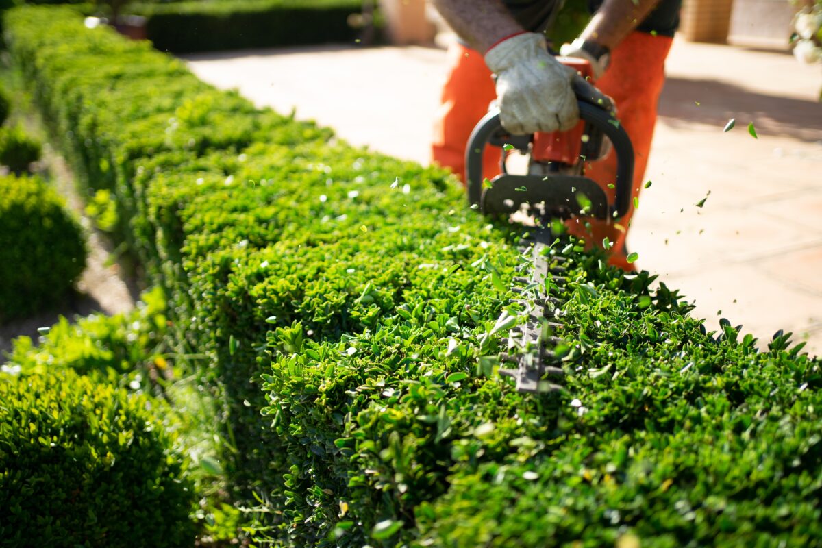 Commercial landscaping in Cohasset MA with professional maintenance and landscape design for property managers by Land Design Associates