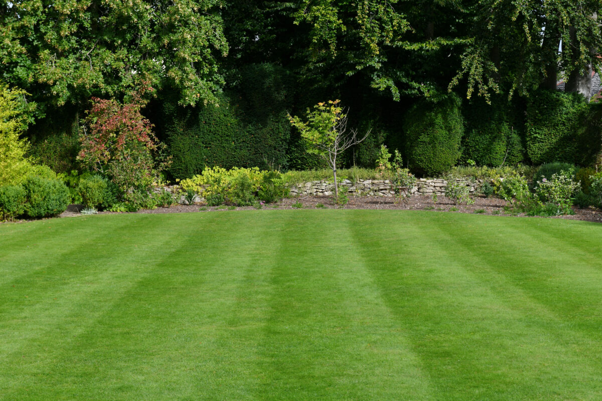 Professional proactive landscape care and maintenance for luxury homes in Hingham, Cohasset, Duxbury, and the South Shore Massachusetts