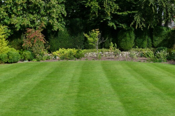 Professional proactive landscape care and maintenance for luxury homes in Hingham, Cohasset, Duxbury, and the South Shore Massachusetts