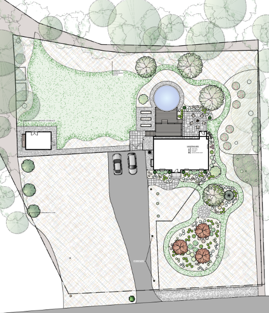 Meadow design project in Carver Massachusetts featuring birch trees, perennial plantings, natural meadow landscape and above ground pool