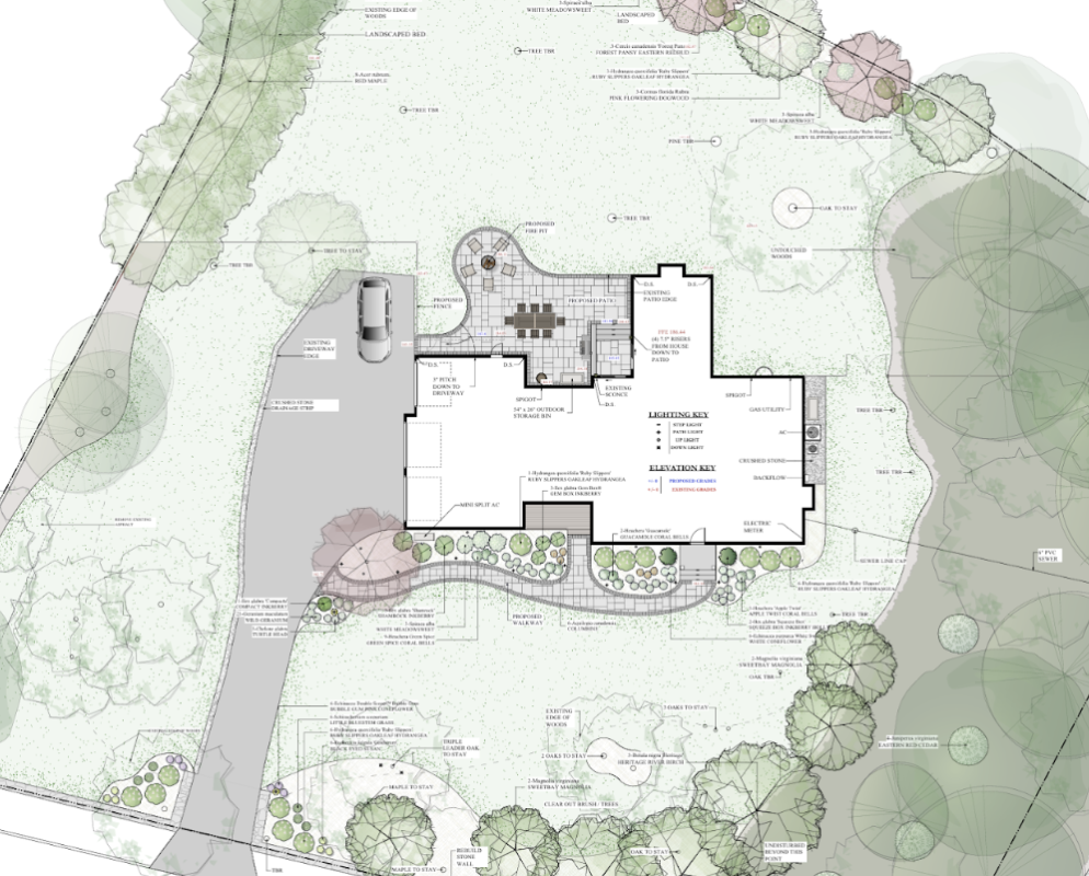 Backyard design transformation in Westwood Massachusetts featuring a new patio, expanded lawn, hornbeam privacy trees, and front walkway landscaping