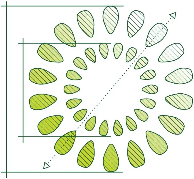 Diagram Flower 1