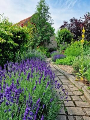 Coastal landscape design in Cohasset, MA with salt-tolerant plantings framing a bluestone patio