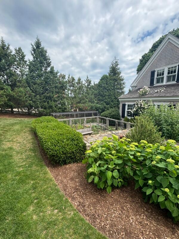 Edible landscape design with blueberry hedge, herb border and espalier apple on South Shore MA property — Land Design Associates Walpole