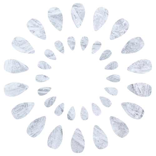 Snowflake Flower