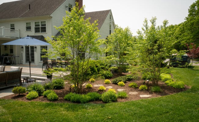 Luxury landscape design in New England featuring a bluestone patio, native grasses, and a stone wall