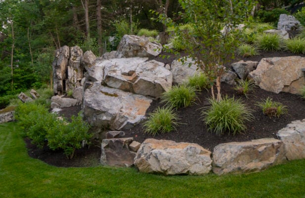 Fall planting cost example: crew installing trees and shrubs at a Massachusetts property